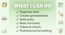 create, organize and format excel spreadsheets