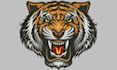 do embroidery digitizing, embroidery wilcom embroidery files, embroidery cap
