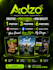 design professional social media posters