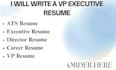 write a vp executive resume