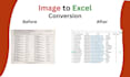 convert PDF or image to excel or word