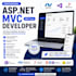develop a professional asp net mvc web application