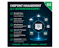 provide IT support and consultation