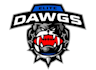 design stunning bear mascot logo with unique style
