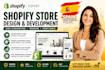 design redesign and build a professional shopify store