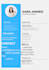 design a professional CV resume in canva