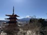 support for trips to japan