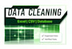 clean, format, and process your CSV or excel data