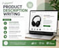 write professional product descriptions