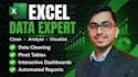 excel expert  data analyst  advanced data solutions