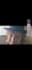 create engaging ugc videos