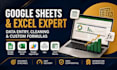 google sheets and excel expert for data entry cleaning and custom formulas