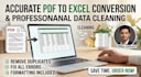 convert PDF to excel, clean messy data, and format spreadsheets