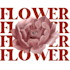 design beautiful tote bag