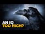 make a great youtube thumbnail