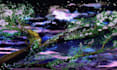 draw fantasy background and environment art for webtoon