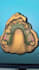 do exocad dental cad design
