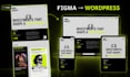 develop a custom wordpress website