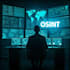 conduct osint investigation and will do background checks