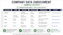 enrich company data with public business information