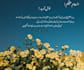 create professional canva designs
