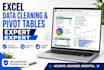 do excel data entry, data cleaning, and word document formatting