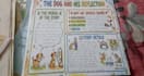 design colourful educational worksheets and school posters