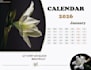 create custom modern calendar designs for print and digital use