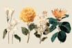design best botanical illustration