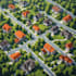 design a clean and detailed property location map
