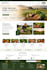 build professional website design and website development