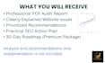 do a complete SEO website audit with an action plan