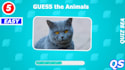 create quiz, trivia questions youtube videos