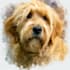 create a custom watercolor pet portrait or pet painting