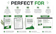 create a professional PDF lead magnet ebook or checklist using ai