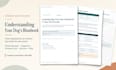 create dvm developed veterinary client education handouts