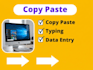 do expert copy paste