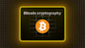 create motion graphics video and 2d animation