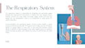design medical and anatomy canva presentations