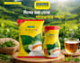design modern social media post design