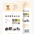 convert figma PSD xd to responsive HTML CSS
