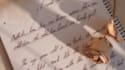 write your text in beautiful neat cursive handwritting