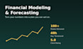 provide professional accounting financial services