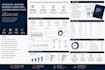 provide financial analysis, business consultating