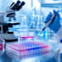 do docking, dynamics and in vitro studies