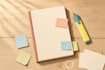 be your beta reader and give detailed feedback on your book