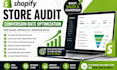 do payhip store audit provide conversion rate plan  optimization boost sales