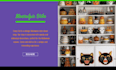 design a custom website