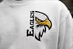 design eagle logo for you