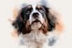 draw watercolor pet portrait